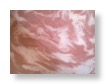 Bild0068